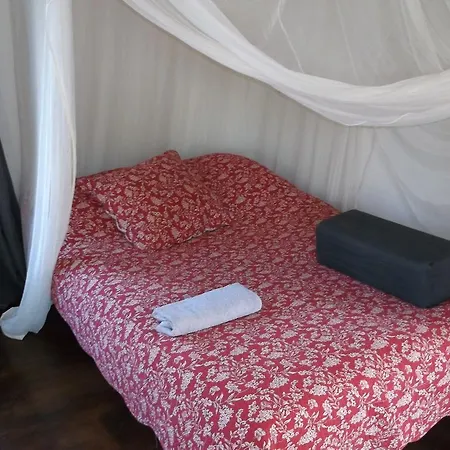 Bed & Breakfast Houseboat Gezina * Amsterdam